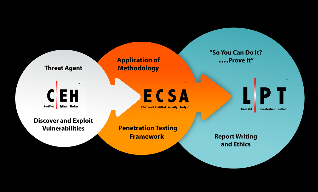 Licensed Penetration Tester Master